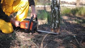 Best Aeration Services  in Riverdale Park, MD
